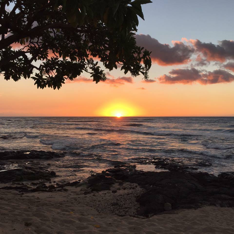 Veterinarian in Kailua Kona, HI